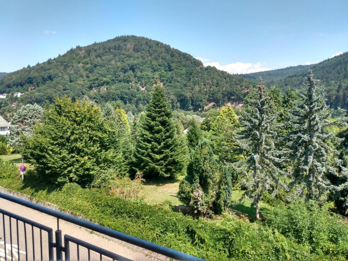 Hotel zum Neckartal Heidelberg Exterior foto